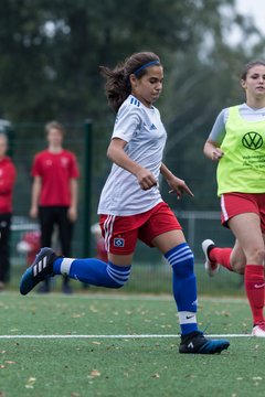 Bild 266 - C-Juniorinnen HSV - Walddoerfer : Ergebnis: 9:1